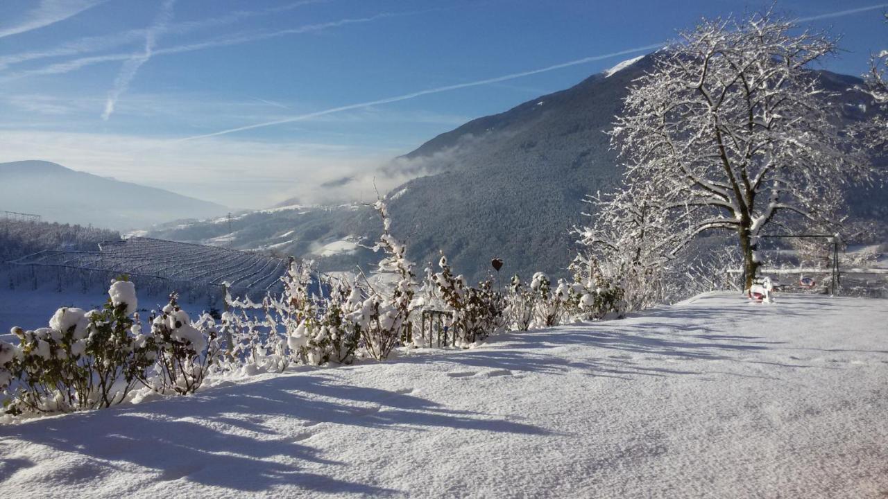 Trinnerhof- Hof Chalets Und Obsthof Mit Zimmer Natz-Schabs Buitenkant foto